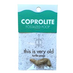 Coprolite Fossil